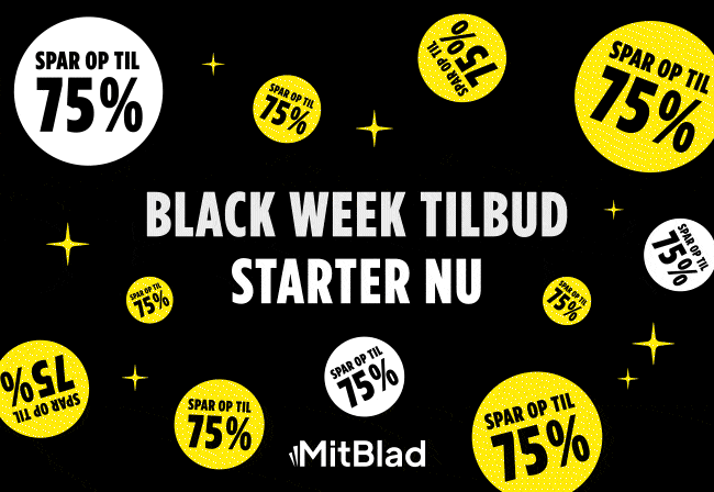 BlackFriday_bannere_Andeby_650x448_1125_02