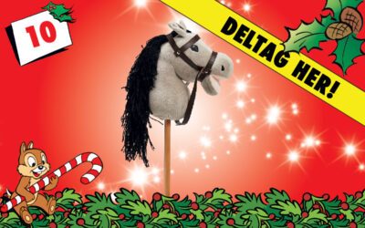 10. december – vind en grå kæphest!